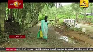 டயகம பகுதியில் அதிகரித்துள்ள குரங்குகளின் தொல்லை