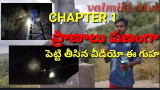 ప్రాణాలు పణంగా పెట్టి తీసిన వీడియో ఈ గుహ .valmiki cave Do or die video by historical hunters.