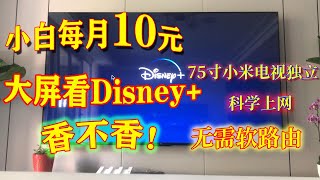 月租10元，无需软路由，小米电视clash独立翻墙看Disney+,香不香！