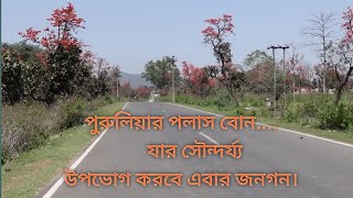 পলাশ ফুলের দেশে l Purulia Fuler Purulia l বসন্তের পলাশ রাঙিয়ে দিলো পুরুলিয়া l পুরুলিয়ার পলাশ বোন।