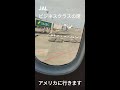 jal ビジネスクラスの席