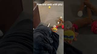 Pitbull#Plays #HideAndSeek #Hilarious 🤣￼