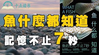 你知道嗎？魚不只有7秒記憶|從使用工具到假高潮，魚知道的事情遠比你想像中多《魚什麼都知道》