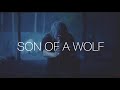 Son of a Wolf (Powerwolf) | Geralt Tribute | The Witcher Netflix