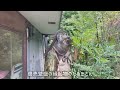 【四国百名山】屋島を屋島神社から登山！