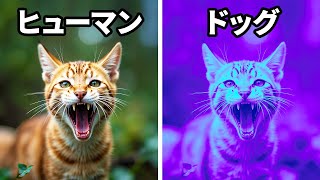 100以上の野生動物の事実に夢中になった