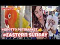 #eastern Sunday#grotto petmarket #green opa pale ni boss pjhay#mga Pomeranian ni mam Jade#ate rose👍😁