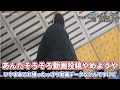 【鉄道旅ゆっくり実況】東日本パスで東北一周！3日目【第12弾】