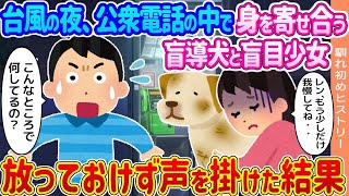 【2ch馴れ初め】台風の夜、公衆電話の中で身を寄せ合う盲導犬と盲目少女 →放っておけず声を掛けた結果   【ゆっくり】