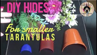 Simple DIY Tarantula hides