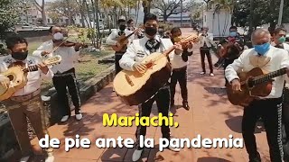 Mariachis, la alegría en pandemia