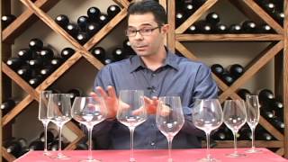 Fusion Glassware - Break Resistant Wine Glasses