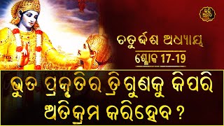 ଭୁତ ପ୍ରକୃତିର ତ୍ରିଗୁଣକୁ କିପରି ଅତିକ୍ରମ କରିହେବ? | ଶ୍ଳୋକ 17-19 |  ଚତୁର୍ଦ୍ଦଶ ଅଧ୍ୟାୟ - ଗୁଣତ୍ରୟବିଭାଗ ଯୋଗ