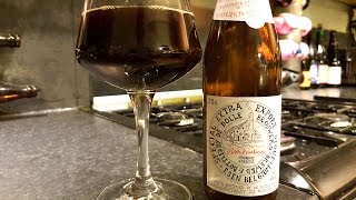 De Dolle Brouwers Special Extra Export Stout | Belgian Craft Beer Review