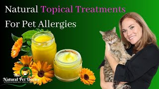Best Home Remedies for Dog and Cat Allergies (Topical Herbal Treatments) - Holistic Vet Advice
