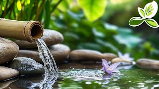 Relaxing Piano Music Bamboo Water Fountain | Sleep Music, Water Sounds, Relaxing Music, Spa Music