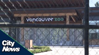 Greater Vancouver Zoo still closed following wolf escape