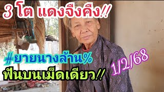 3 โต แดงจืงคืง!! #ยายนางล้าน% ฟันบนเม็ดเดียว!! 1 ก.พ.68