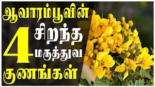 நோய் இல்லா உடம்பை பெற என்ன செய்யணும் தெரியுமா?விடியோவை பாருங்கள்.!