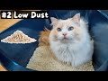 Pros and Cons of Tofu Cat Litter | The Cat Butler