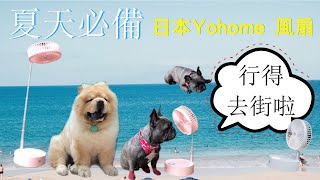 金牌百貨｜日本Yohome折疊USB風扇｜夏天又到啦｜唔可以熱親主子囉｜金牌犬舍