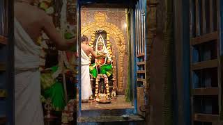 Sri putalaya amman temple 4th day #pondicherry #temple #aadithiruvizha #sriputalayaamman temple