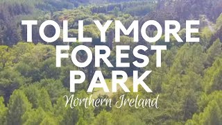 Tollymore Forest Park in 4K - Newcastle Northern Ireland