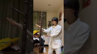 居家詠春拳練習 #葉問 #詠春拳 #中國武術