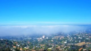 Why does fog form?