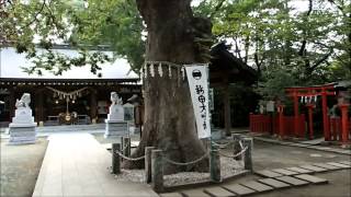 東京のパワースポット（イヤシロチ）　大田区　新田神社