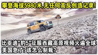 攀登海拔5980米，無任何“高反”創造紀錄！比亞迪“豹5”征服西藏高原視頻火遍全球！美國急了：該怎麼制裁？