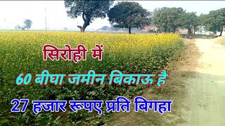 सिरोही राजस्थान में 60 बीघा जमीन बिकाऊ है Sirohi main 60 Bigha sasti jameen bikau hai