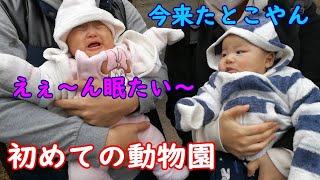 初めての動物園！でもすぐ寝ちゃう男女双子赤ちゃん生後3ヶ月