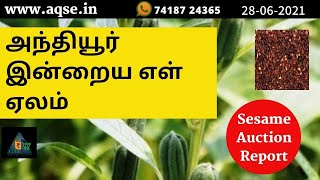 இன்றைய எள் விலை நிலவரம் | Sesame Today Price | அந்தியூர் எள் ஏலம் | அந்தியூர் சந்தை | விவசாய செய்தி