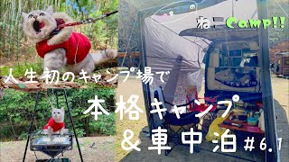 【軽キャンピングカーで猫と車中泊#6.1】猫と本気キャンプしてみたら楽しすぎた！！　タロリン村編