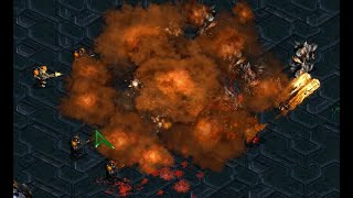 HYDRA META! Action! 🇰🇷 (Z) vs Light! 🇰🇷 (T) on Shakuras Temple - StarCraft - Brood War Remastered