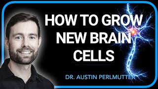 How to Grow New Brain Cells