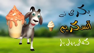 goat eating ice cream|baby goat ne kia mama ko tang