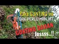 Review Gunting Dahan Pohon Tinggi