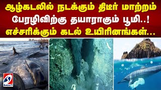 ஆழ்கடலில் நடக்கும் திடீர் மாற்றம் - பேரழிவிற்கு தயாராகும் பூமி..! எச்சரிக்கும் கடல் உயிரினங்கள்...|