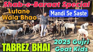 2025 Gujri Goat Kids Mandi Se Saste At TABREZ BHAI | Shab-e-Baraat Special Bhiwandi Maharashtra