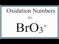 How to find the Oxidation Number for Br in the BrO3- ion.     (Bromate ion)