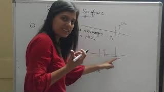 RESPIRATORY SURFACE