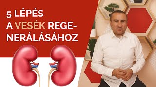 5 lépés a Vesék regenerálásához