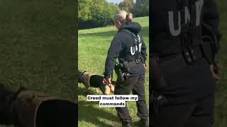 K9 certification Day