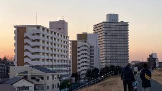 【並木通りとタワー型】浮間一丁目の都営住宅の情景