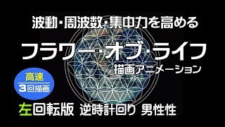 [高速描画] 波動･周波数を高めるフラワー･オブ･ライフL　Flower of Life 「左回転」