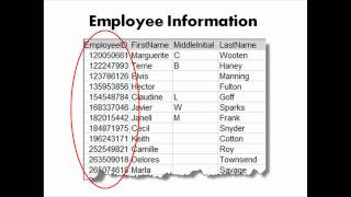 Access Database Basics-Primary Keys