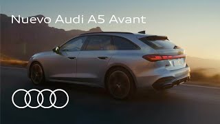 Anuncio Audi A5 Avant 2025