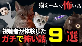 【総集編】視聴者がマジで体験した洒落怖な体験談③　9選【猫ミーム×ホラー】#猫マニ #怖い話 #体験談